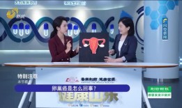 甘孜电视台爆料新闻视频,揭秘新闻背后的真相